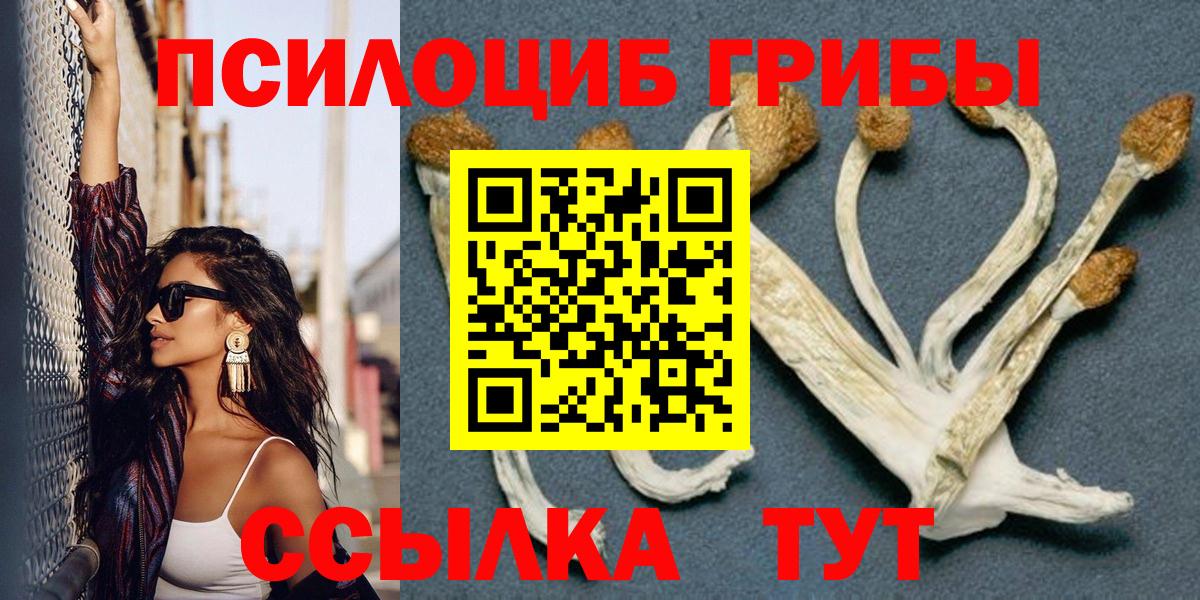 Псилоцибиновые грибы ЛСД  Вход с VPN  Славянск-на-Кубани  Псилоцибиновые грибы мицелий 